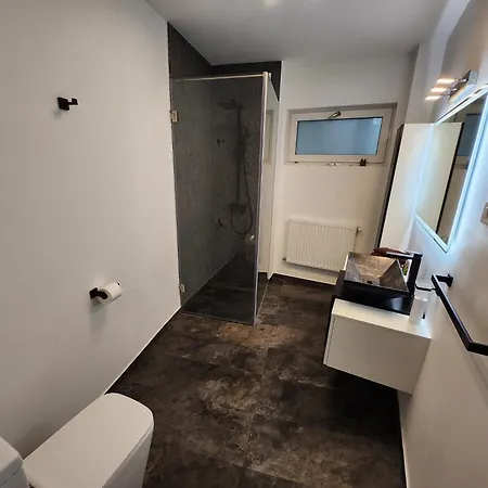 Grand 4-bedrooms Tourist Rosetti Apartament